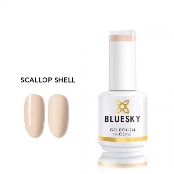 SCALLOP SHELL